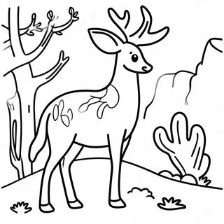 Omalovanka Divoka Priroda Arizona 105307-42941