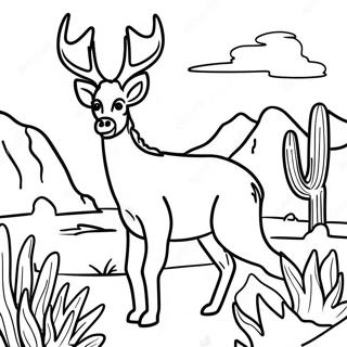 Omalovanka Divoka Priroda Arizona 105307-42943