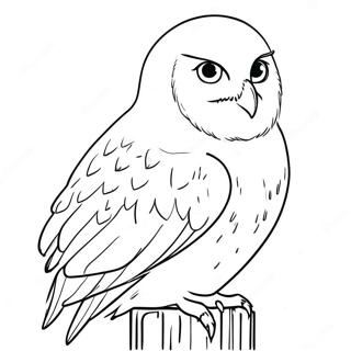 Omalovanka S Hedvikou 105871-43366