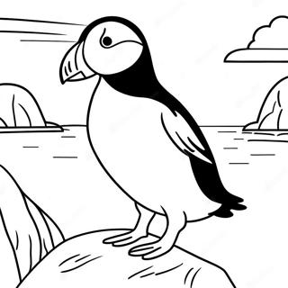 Puffin Rock Omalovánky