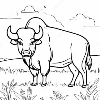 Omalovanka Majestatniho Buvola Na Poli 107640 44755