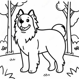 Omalovanka Stastny Australsky Ovcak V Parku 110884 47346