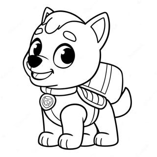 Omalovanka Ryder Z Paw Patrol 114631-50399