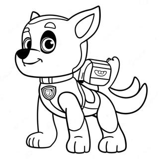 Rocky Paw Patrol Omalovánky