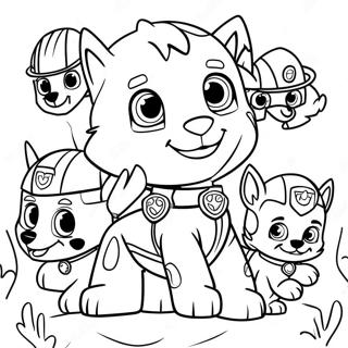 Omalovanka Rockyho Z Paw Patrol S Prateli 116389-51929