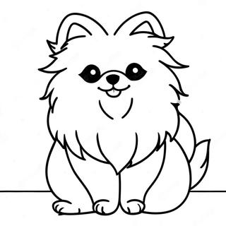 Pomeranian Omalovánky