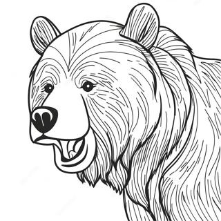 Omalovanka Grizzly Medveda 119990-54826