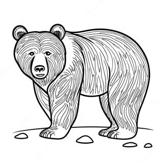 Omalovanka Grizzly Medveda 119990-54827
