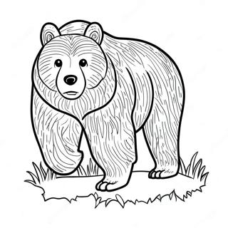 Omalovanka Grizzly Medveda 119990-54828