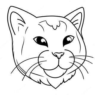 Meowscles V Akci Omalovanka 129173-62416