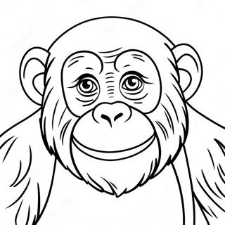 Simpanz Omalovanka 129710-62830