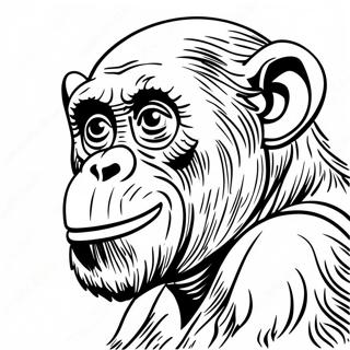 Simpanz Omalovanka 129710-62831
