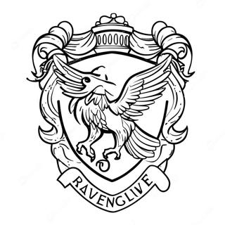 Omalovanka S Erbem Ravenclaw 130070-63111