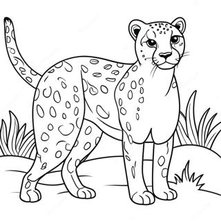 Gepard Sledujici Korist Omalovanka 17891 3920