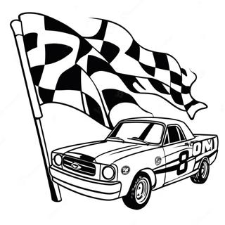 Zavodni Vlajka Nascar Omalovanka 41824-9149