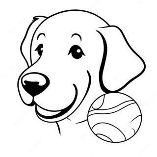 Omalovanka Se Zlatym Retrivrem S Micem 67435 14762