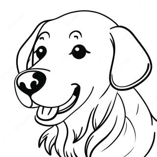 Omalovanka Se Zlatym Retrivrem S Micem 67435 14764