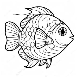 Zive Tropicke Ryby Omalovanka 75035-18212