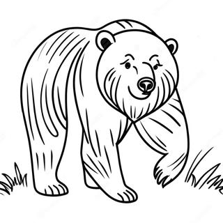 Zlovestny Cerny Medved Omalovanka 83576 24863