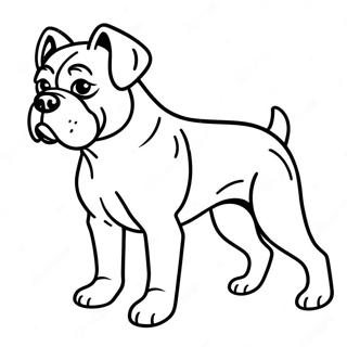 Boxer V Akci Omalovanka 89706 29886