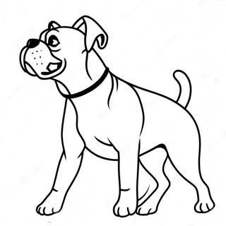 Boxer V Akci Omalovanka 89706 29887