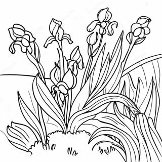 Omalovanka Kosatce Od Van Gogha 90841-30768