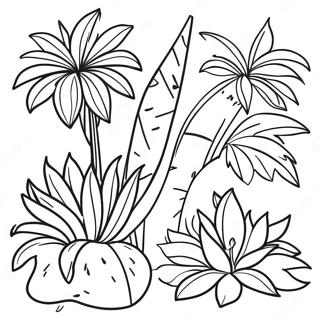 Exoticke Tropicke Rostliny 97468 36386