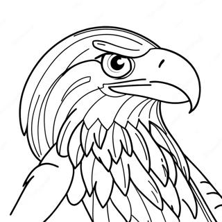 Omalovanka S Majestatnim Orlem Belohlavym 98626-37422