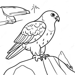 Omalovanka Sokola Stehovaveho Hnizdiciho Na Utesu 99241-37901