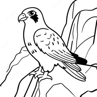 Omalovanka Sokola Stehovaveho Hnizdiciho Na Utesu 99241-37903