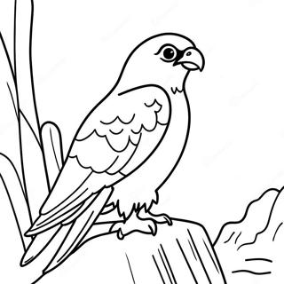 Omalovanka Sokola Stehovaveho Hnizdiciho Na Utesu 99241-37904